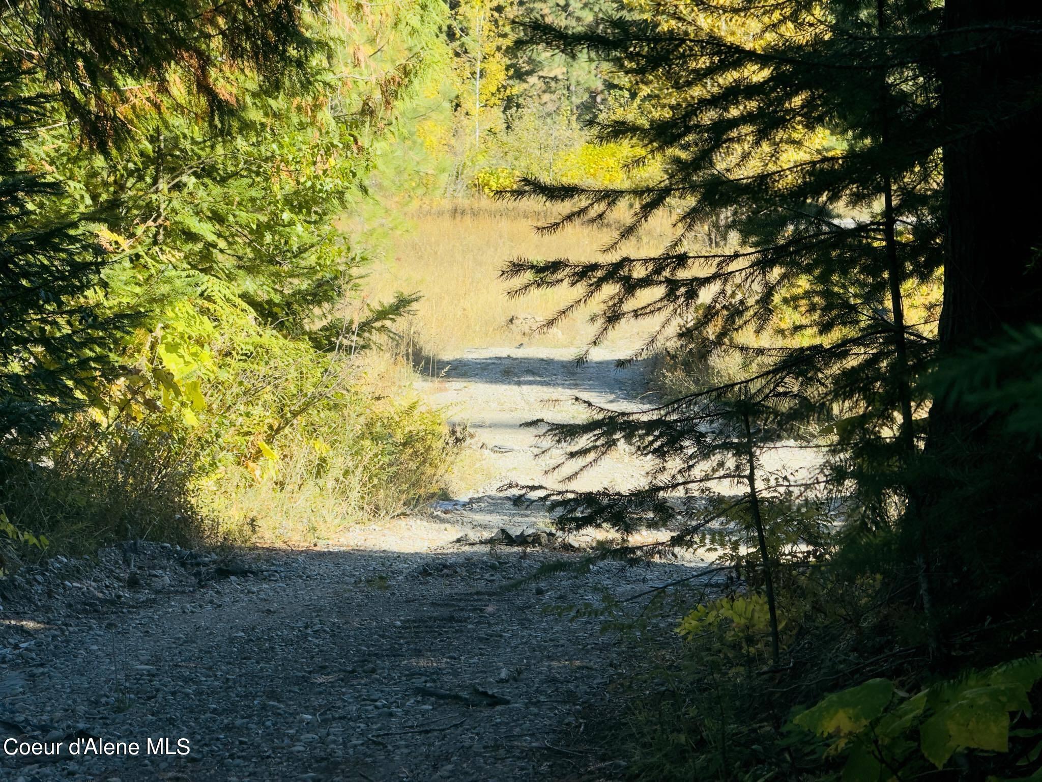 NNA Rustic Way, Lot 8, Spirit Lake, Idaho image 3