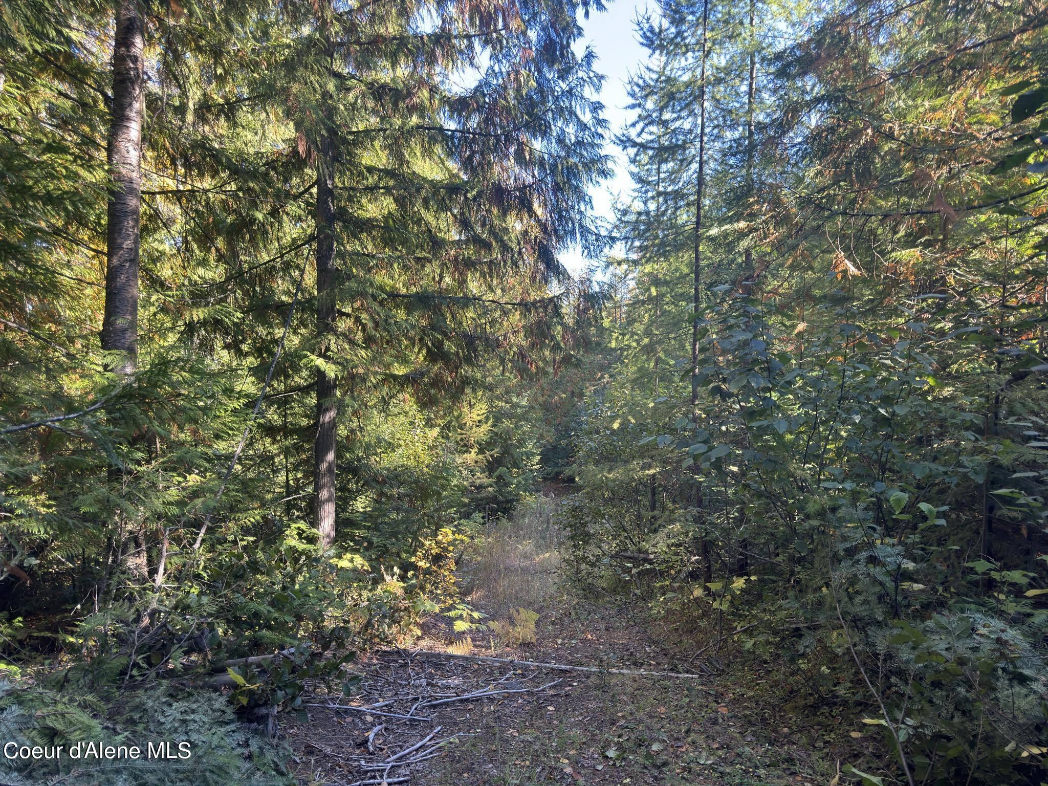 NNA Rustic Way, Lot 8, Spirit Lake, Idaho image 9