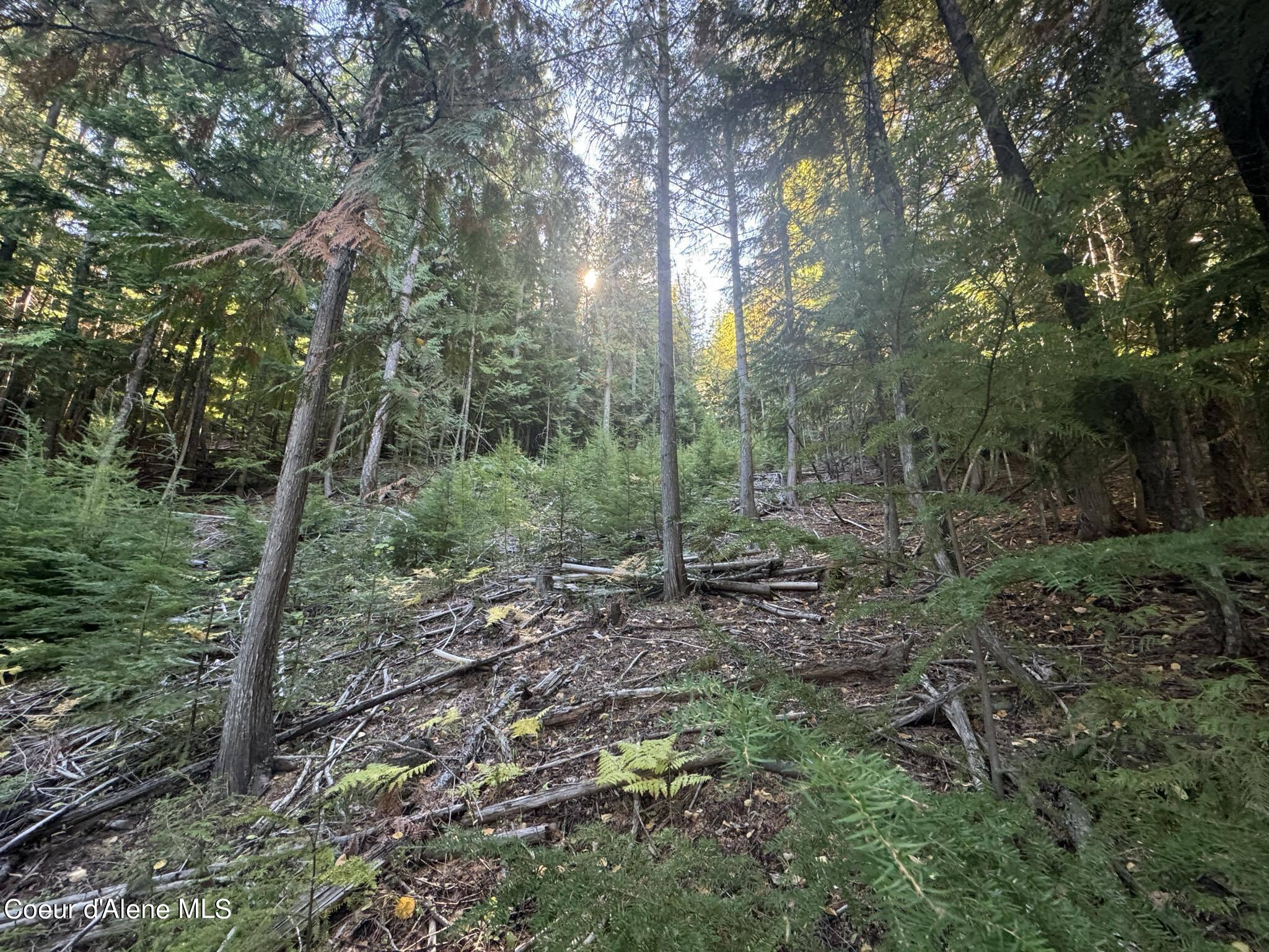 NNA Rustic Way, Lot 8, Spirit Lake, Idaho image 4