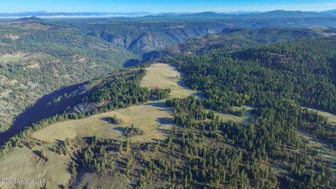 Vacant Land For Sale - NKA 320ACS Summer<br/> Orofino, ID 83544