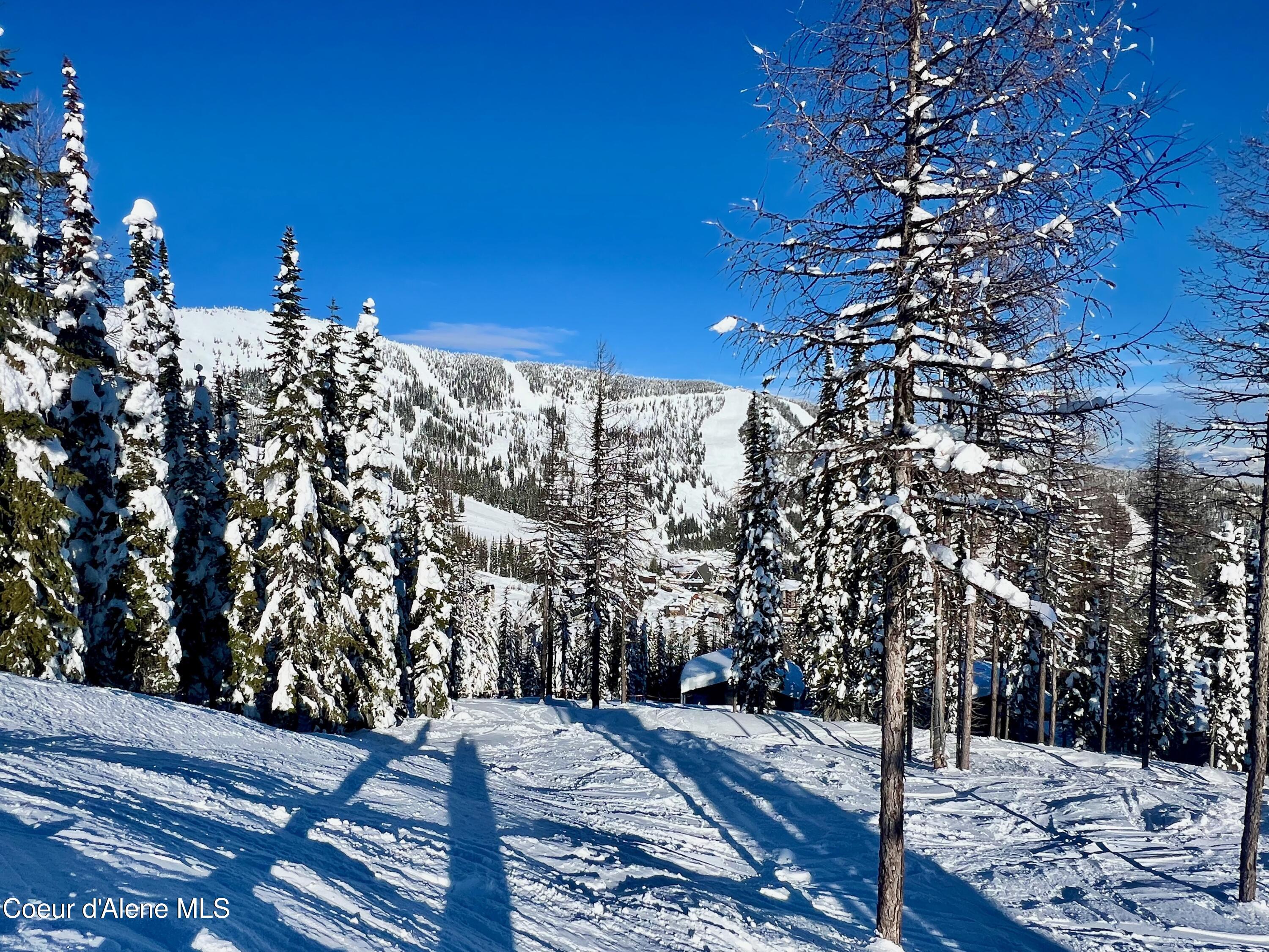 NNA White Cloud C33 Drive, Sandpoint, Idaho image 9