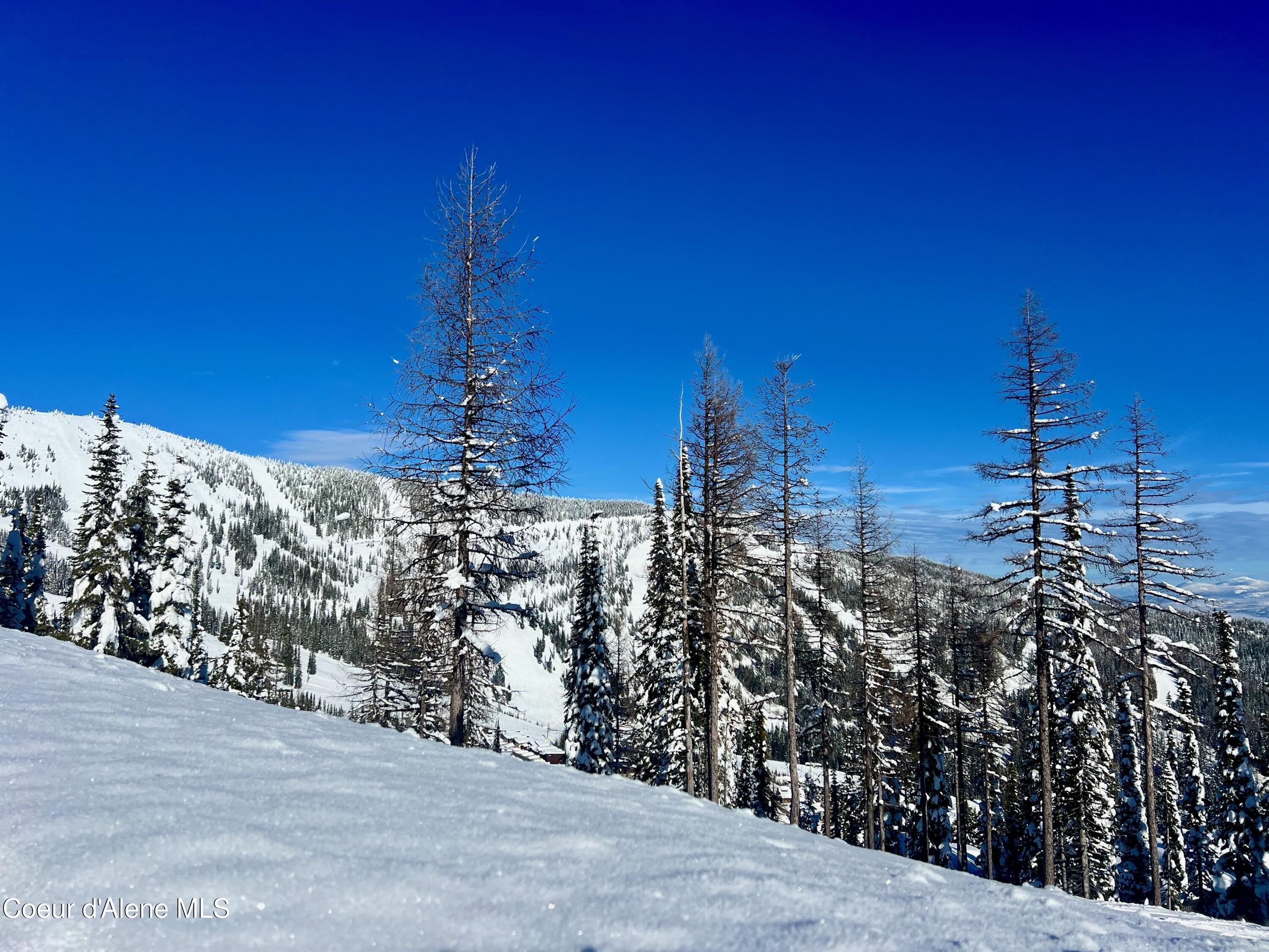 NNA White Cloud C33 Drive, Sandpoint, Idaho image 7