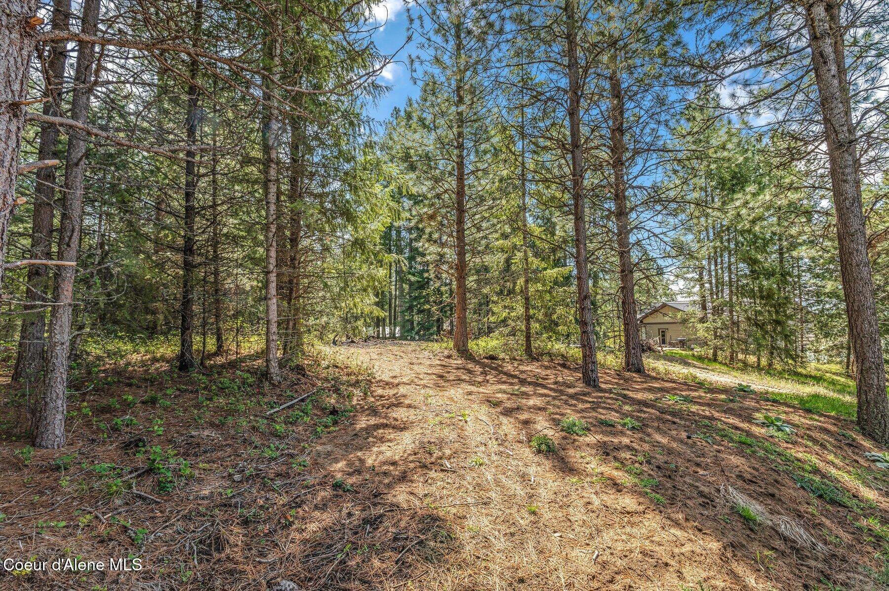 501 Swan Shores, Sagle, Idaho image 27