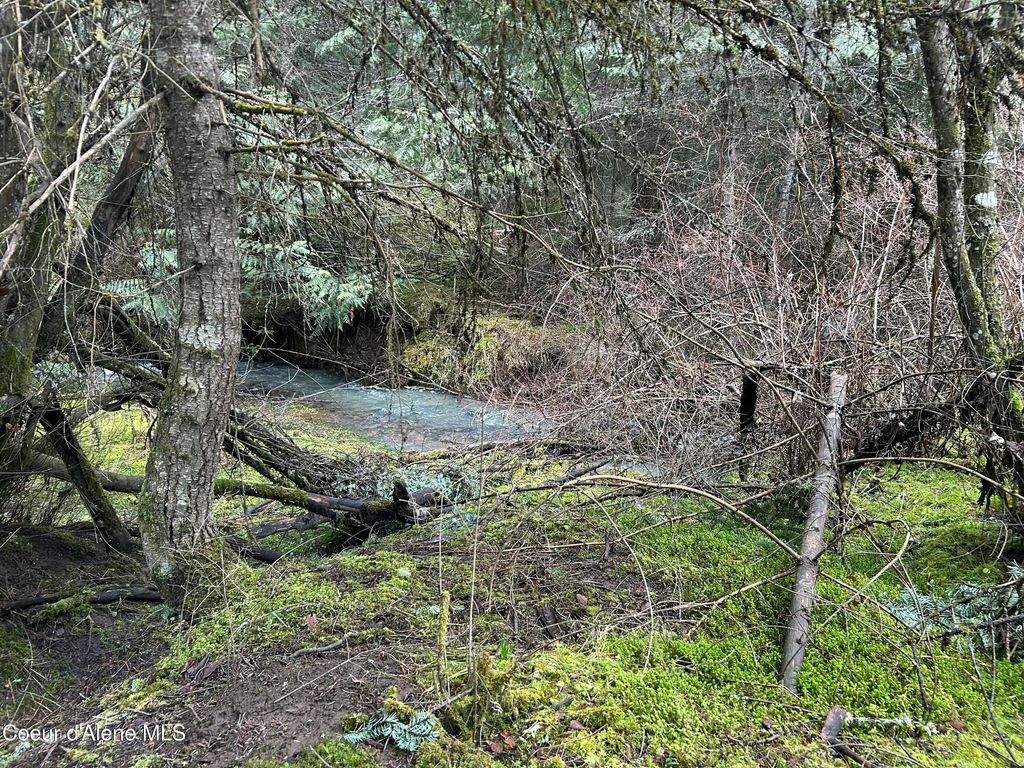 Photo of NNA Bell Canyon Canyon, Harrison, ID 83833 (MLS # 26-3149)