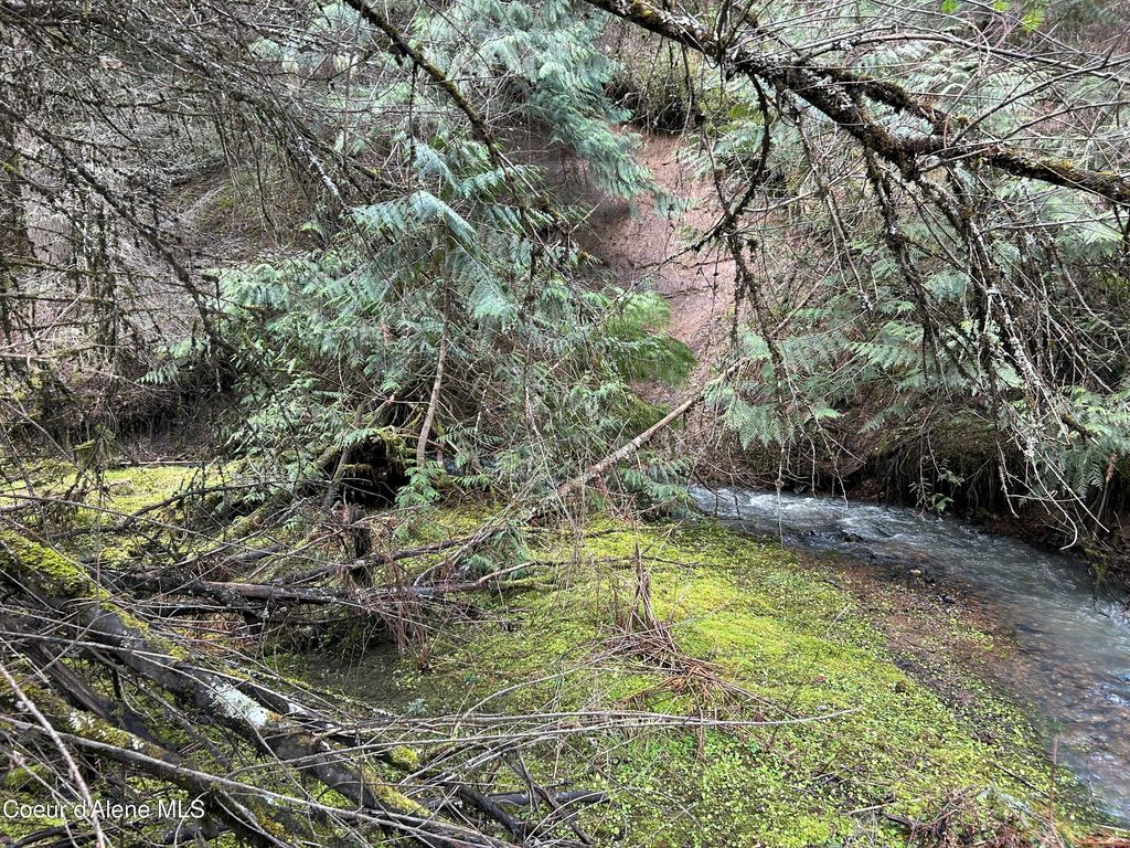 Photo of NNA Bell Canyon Canyon, Harrison, ID 83833 (MLS # 26-3149)