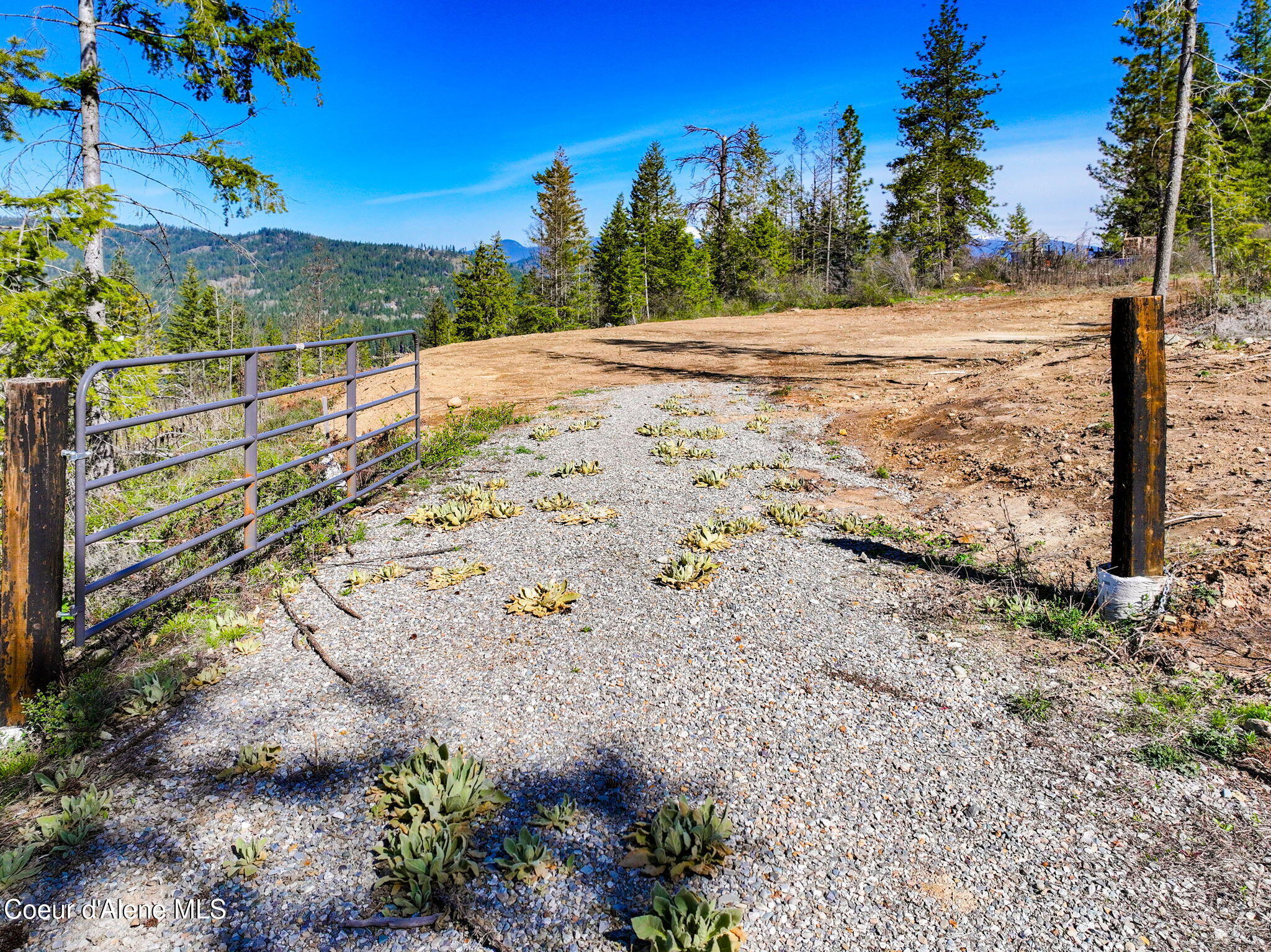 300 Kelley Creek, Cocolalla, Idaho image 4