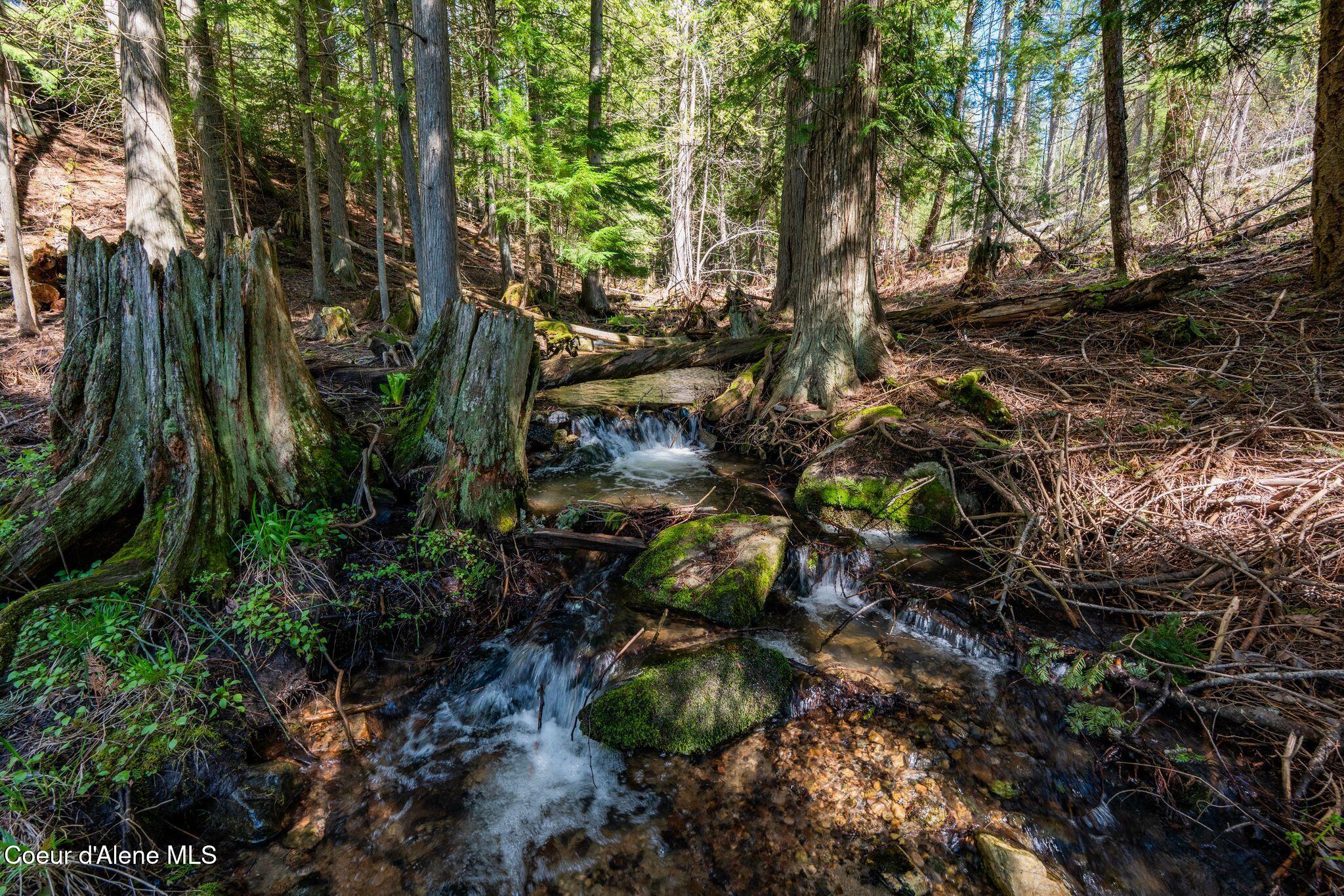 1142 Salee Creek