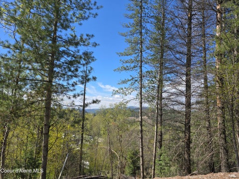 Vacant Land For Sale - 821 Lower Page Rd<br/> Smelterville, ID 83868