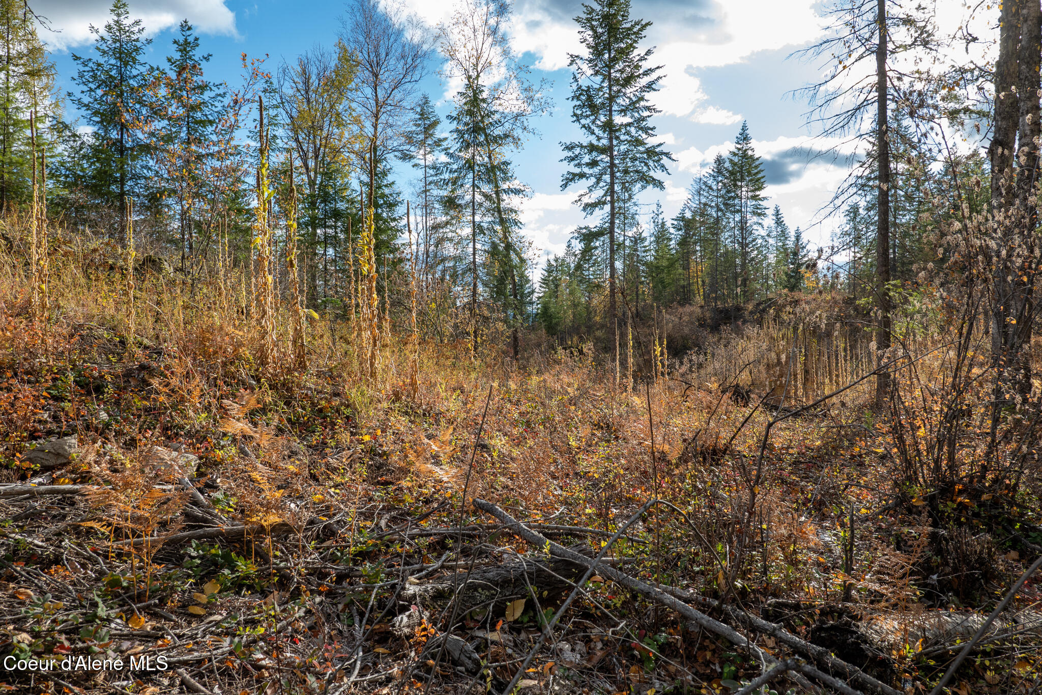 Parcel 1 Crosswhite Rd, Careywood, Idaho image 11