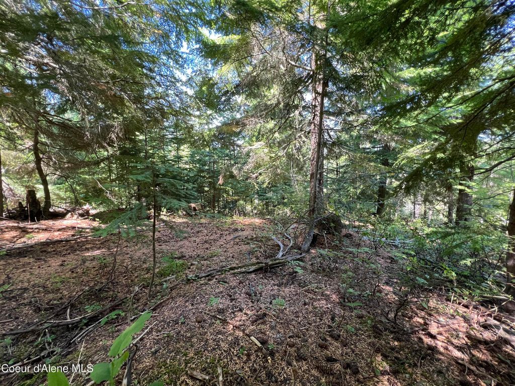 Photo of 520 Alpine, Fernwood, ID 83830 (MLS # 26-4197)
