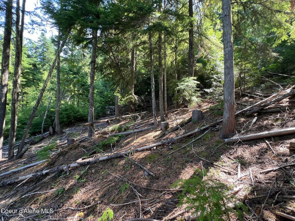Photo of 520 Alpine, Fernwood, ID 83830 (MLS # 26-4197)