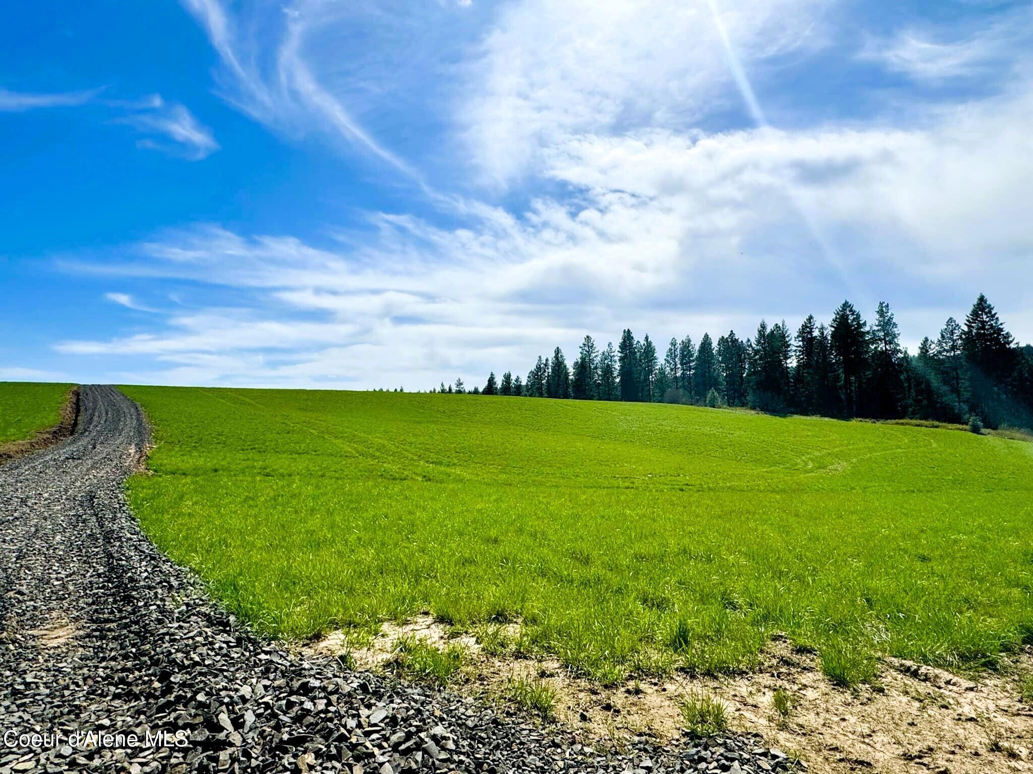 NKA Butte Lane, Plummer, Idaho image 1