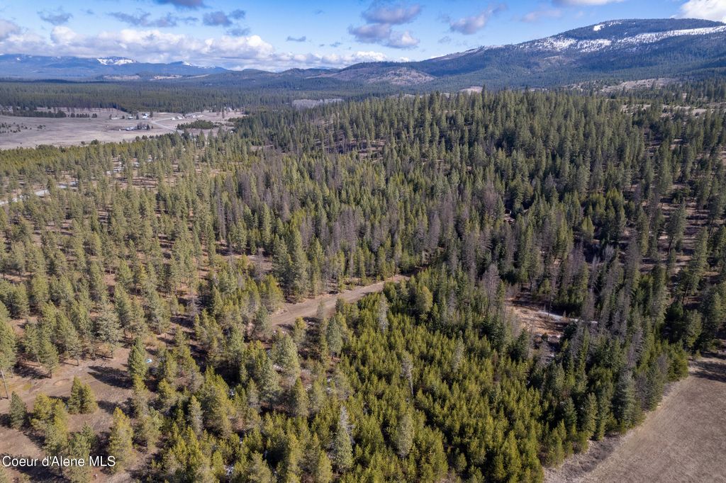 Photo of 5341 Hoo Doo Loop, Oldtown, ID 83822 (MLS # 25-7311)