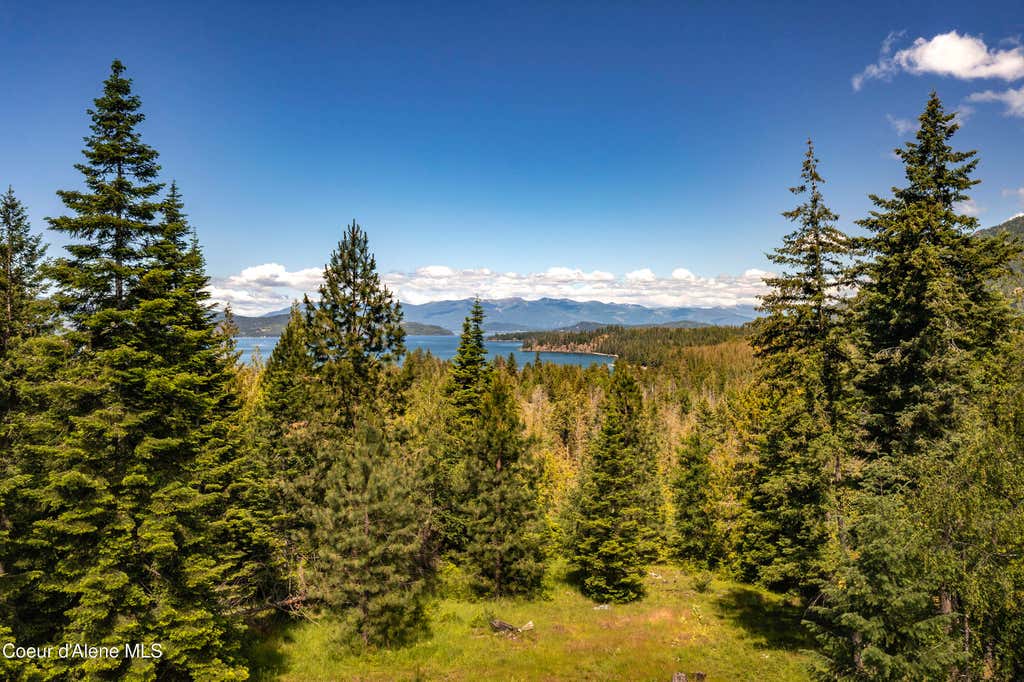 Photo of 166 Demers Dr, Hope, ID 83836 (MLS # 26-6412)