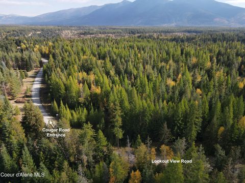 Vacant Land For Sale - NNA Cougar Road Lot 1a<br/> Naples, ID 83847