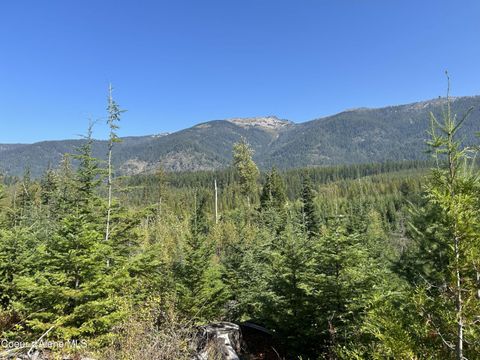 Vacant Land For Sale - TRACT 5 Usfs 2294<br/> Clark Fork, ID 83811