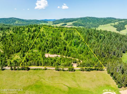 Vacant Land For Sale - NNA Lowry<br/> Plummer, ID 83851