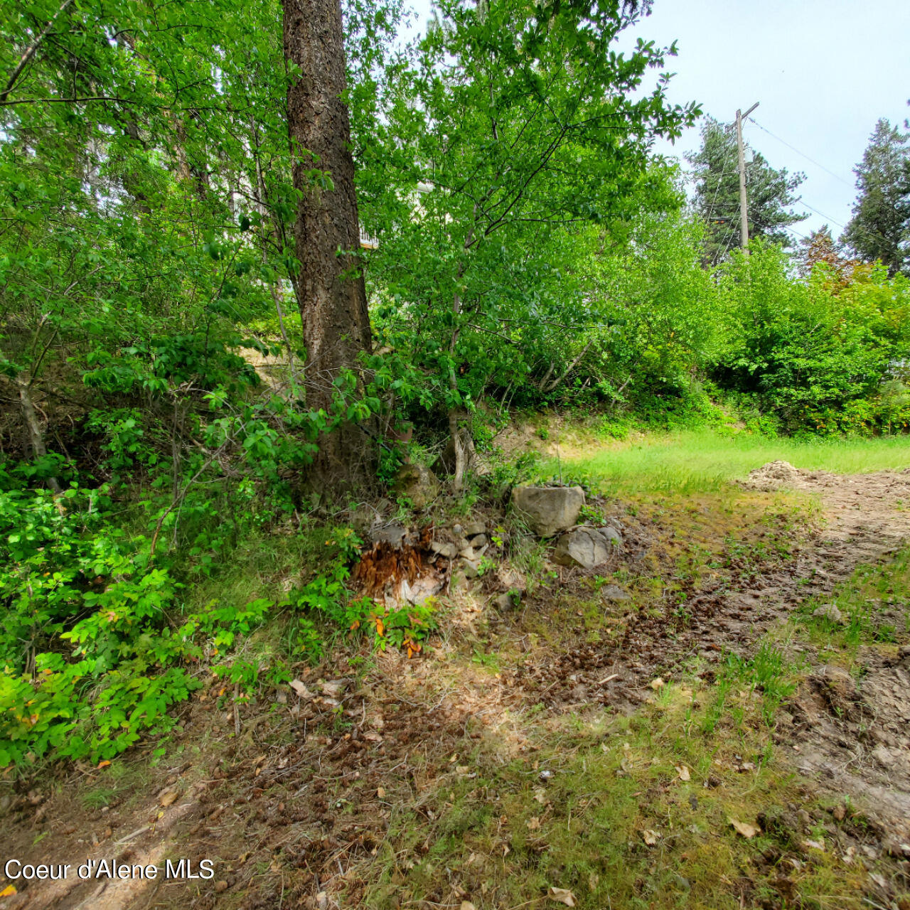 S Evergreen Lane, Coeur d'Alene, Pennsylvania image 11