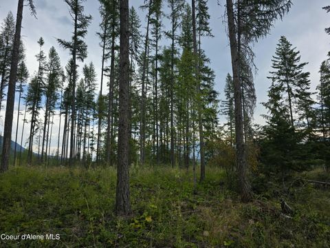 Vacant Land For Sale - NNA Westside Rd Parcel 12<br/> Bonners Ferry, ID 83805