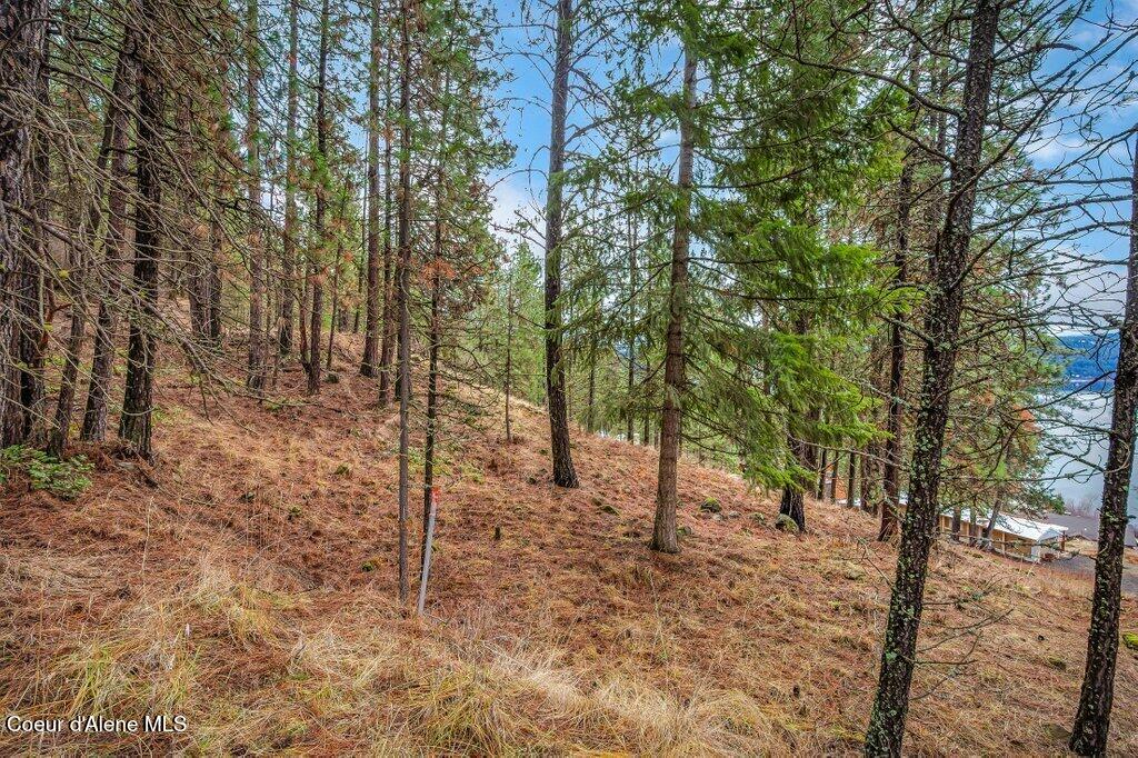 NNA E Crows Nest Rd, Harrison, West Virginia image 9