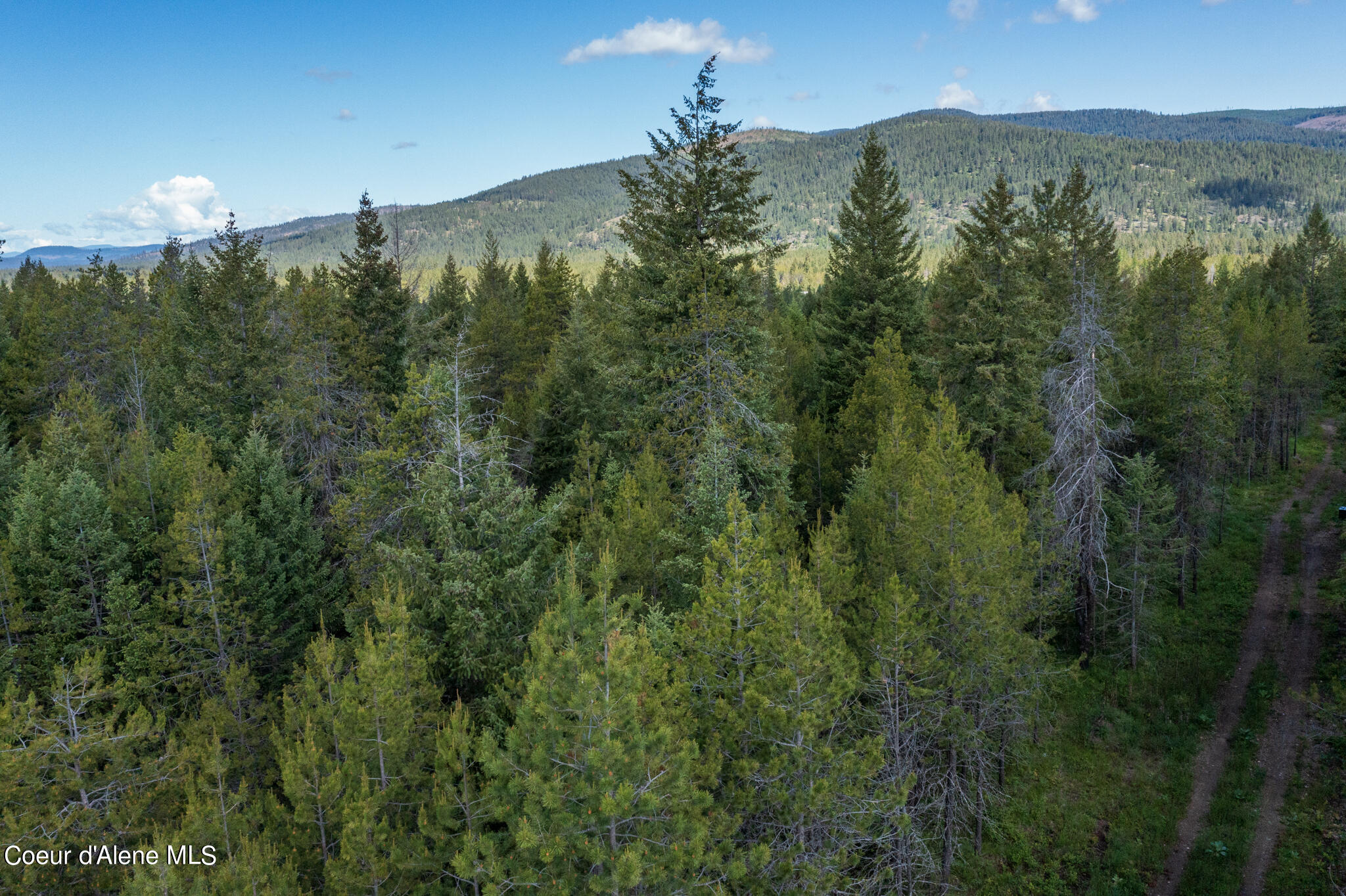 Lot 4 Flat Iron, Spirit Lake, Idaho image 32