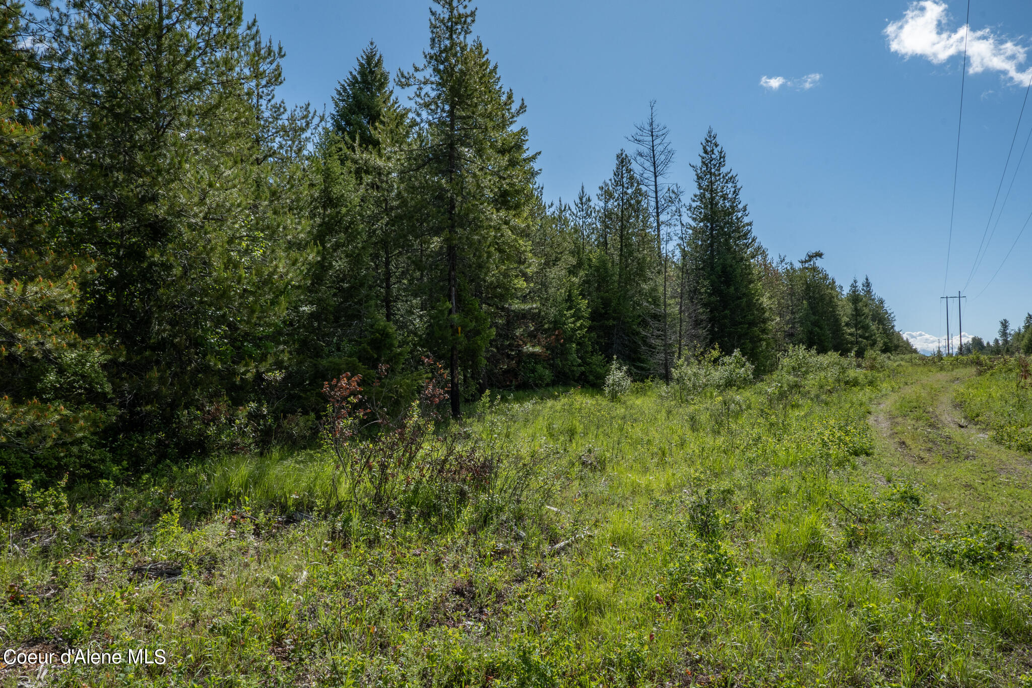 Lot 4 Flat Iron, Spirit Lake, Idaho image 48