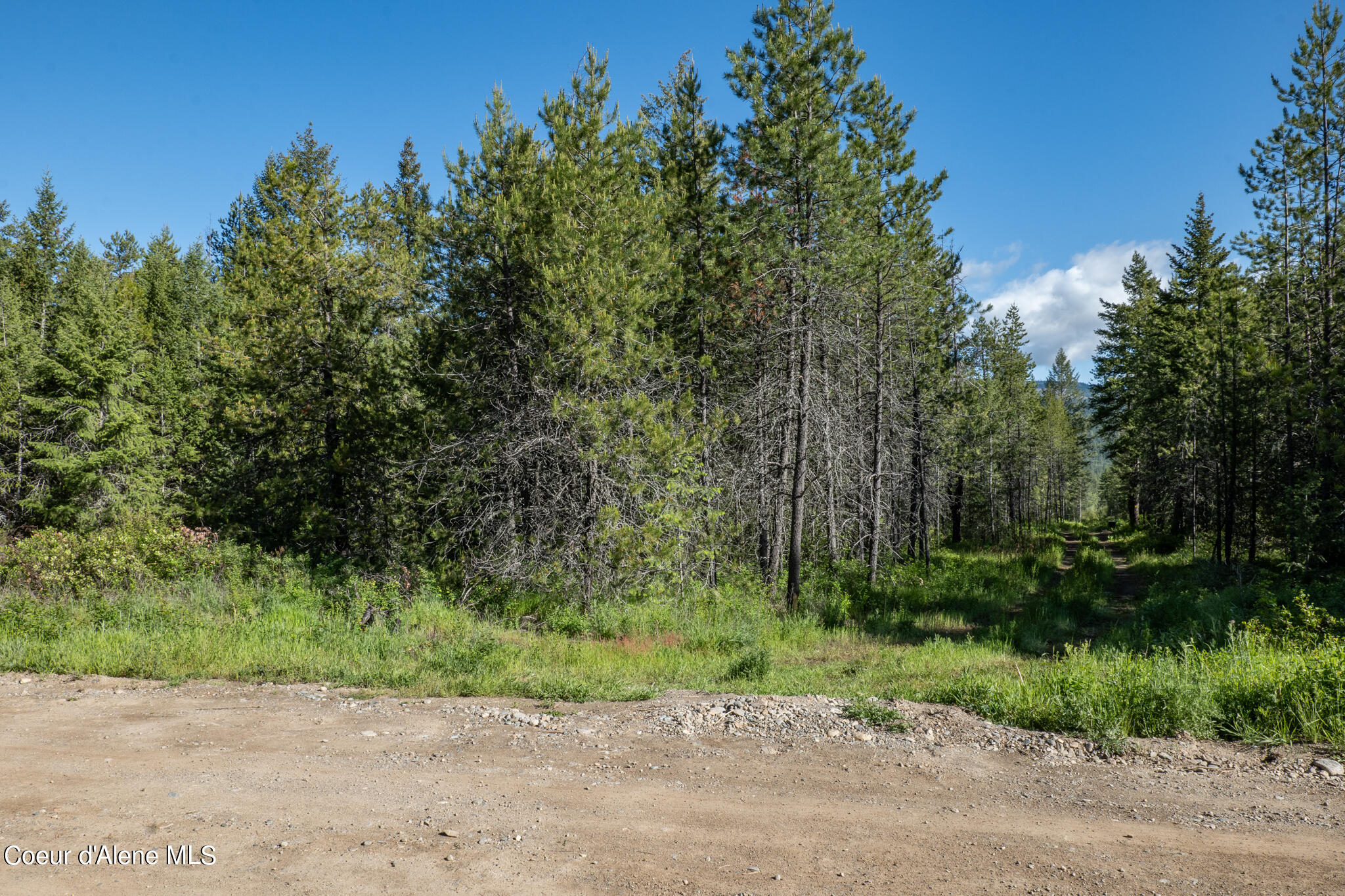 Lot 4 Flat Iron, Spirit Lake, Idaho image 29