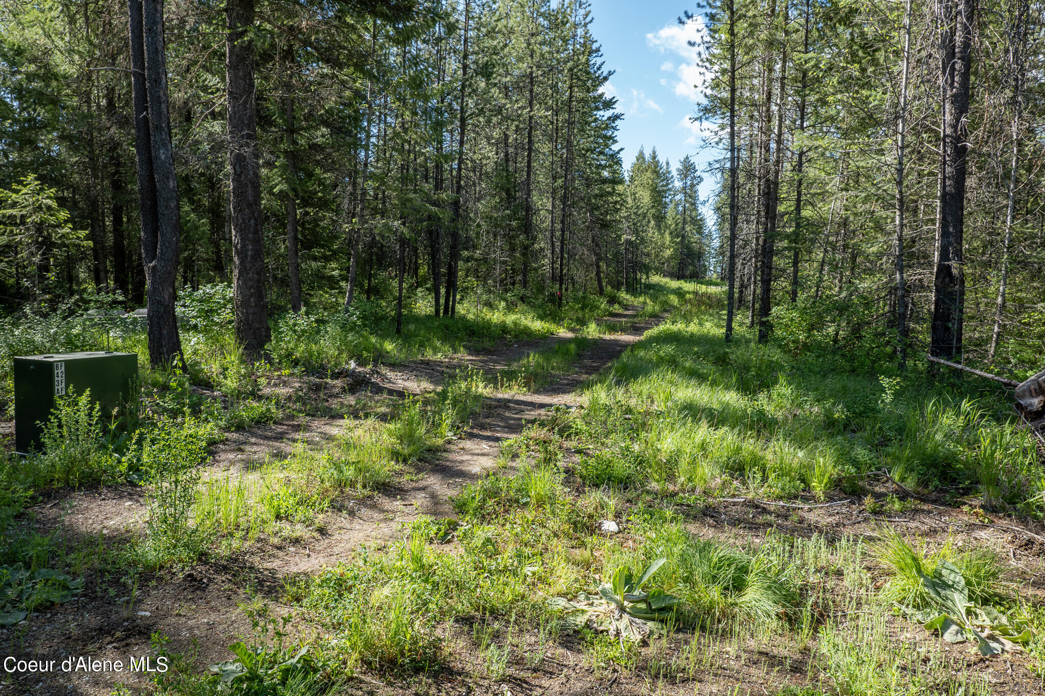 Lot 4 Flat Iron, Spirit Lake, Idaho image 36