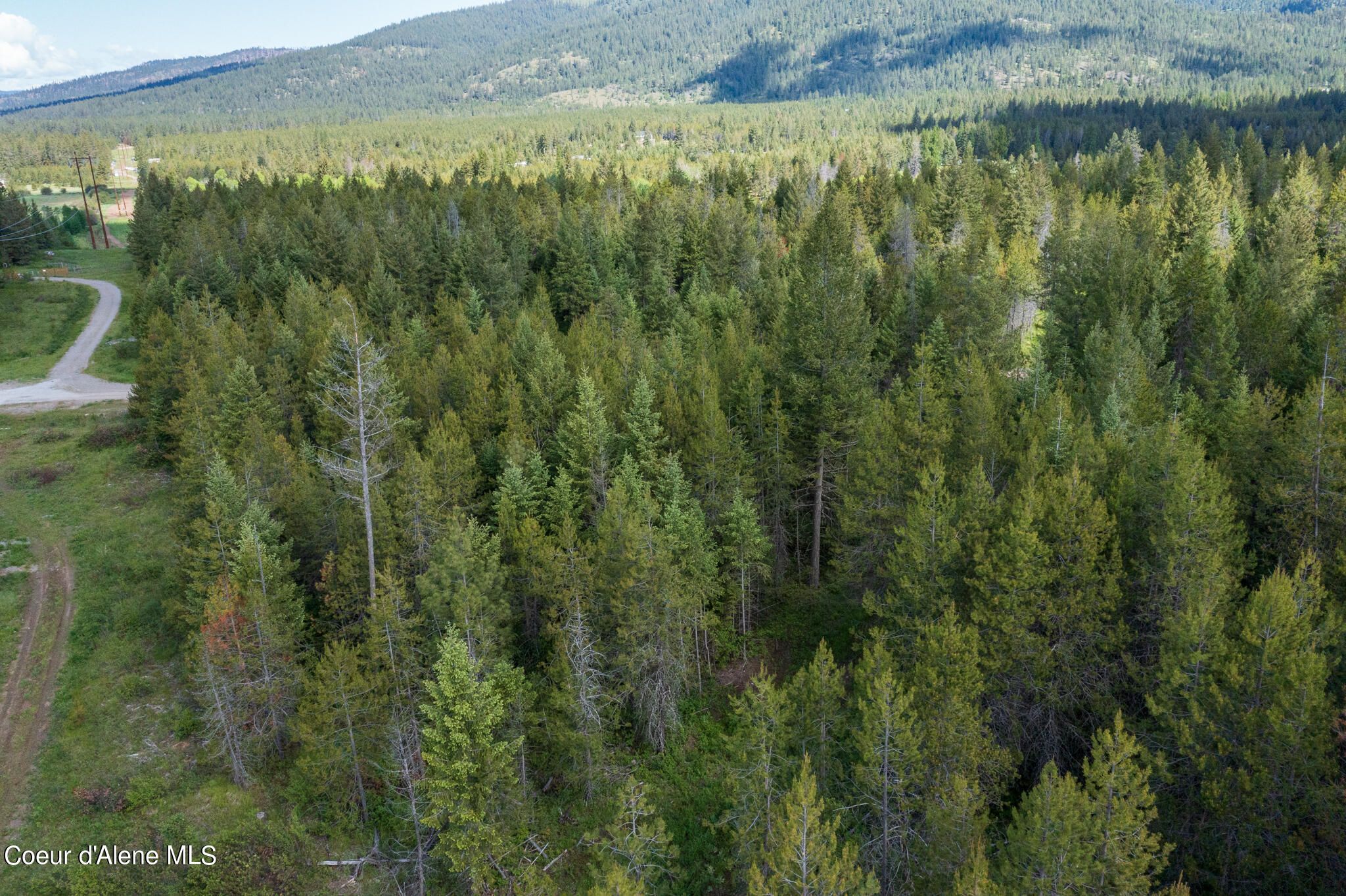 Lot 4 Flat Iron, Spirit Lake, Idaho image 7