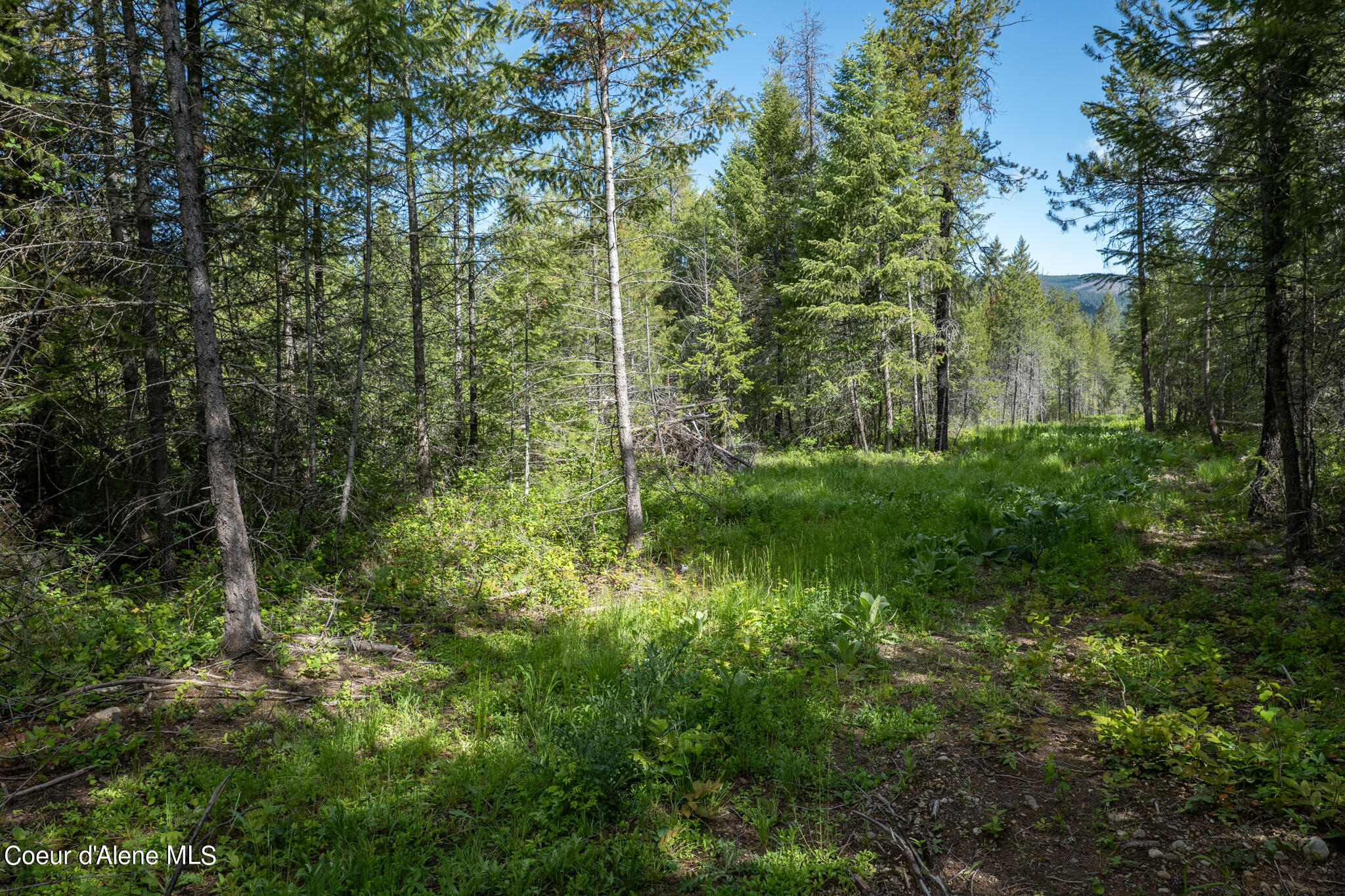 Lot 4 Flat Iron, Spirit Lake, Idaho image 40