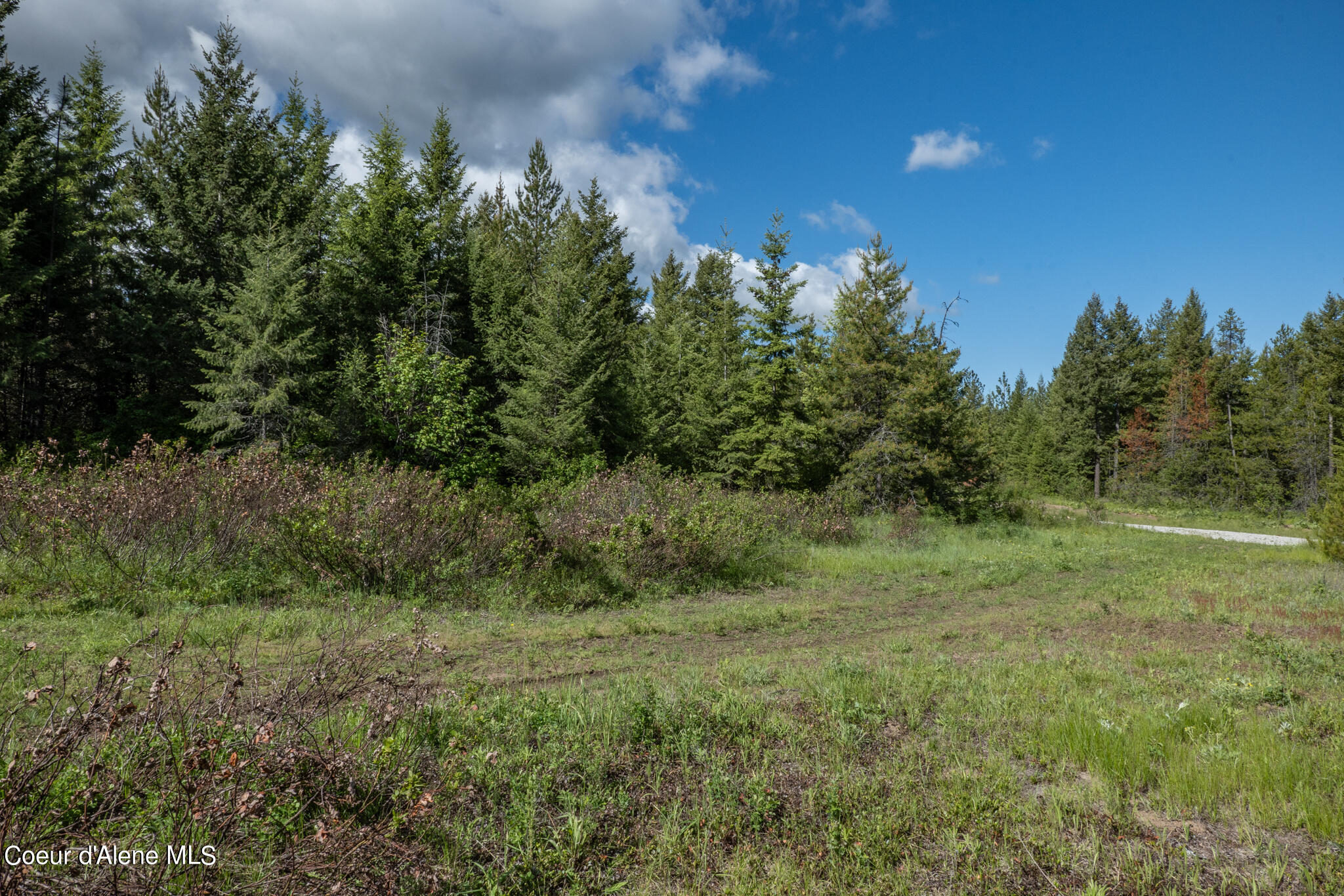 Lot 4 Flat Iron, Spirit Lake, Idaho image 45