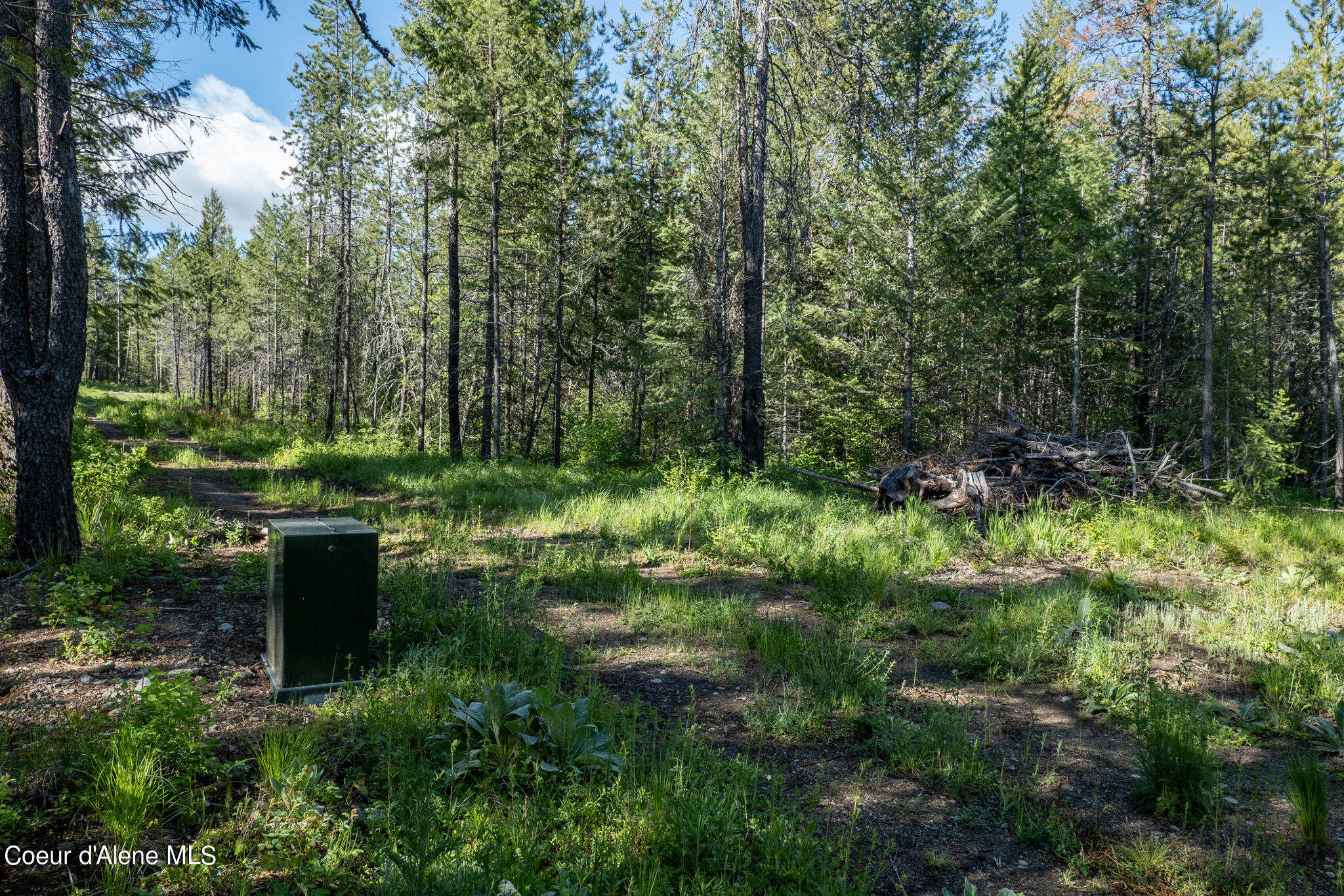 Lot 4 Flat Iron, Spirit Lake, Idaho image 6