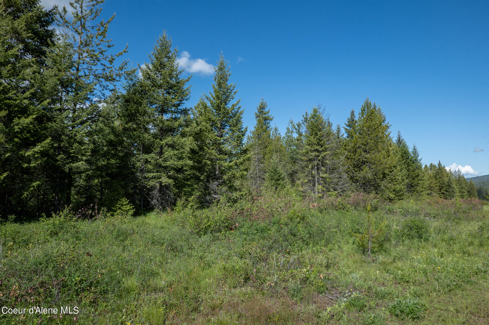 Lot 4 Flat Iron, Spirit Lake, Idaho image 44