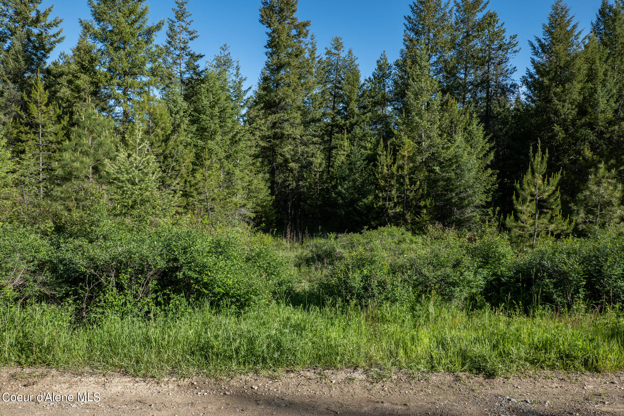 Lot 4 Flat Iron, Spirit Lake, Idaho image 9