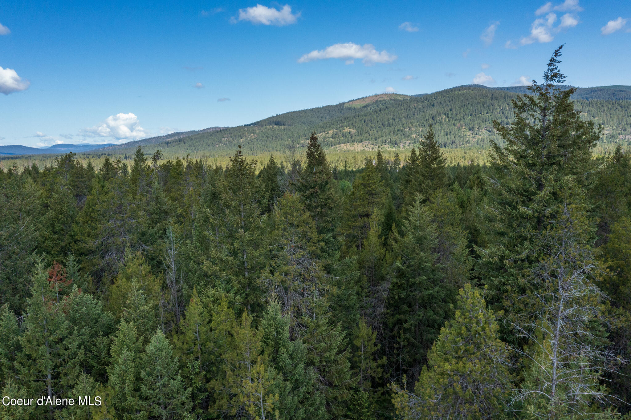 Lot 4 Flat Iron, Spirit Lake, Idaho image 1