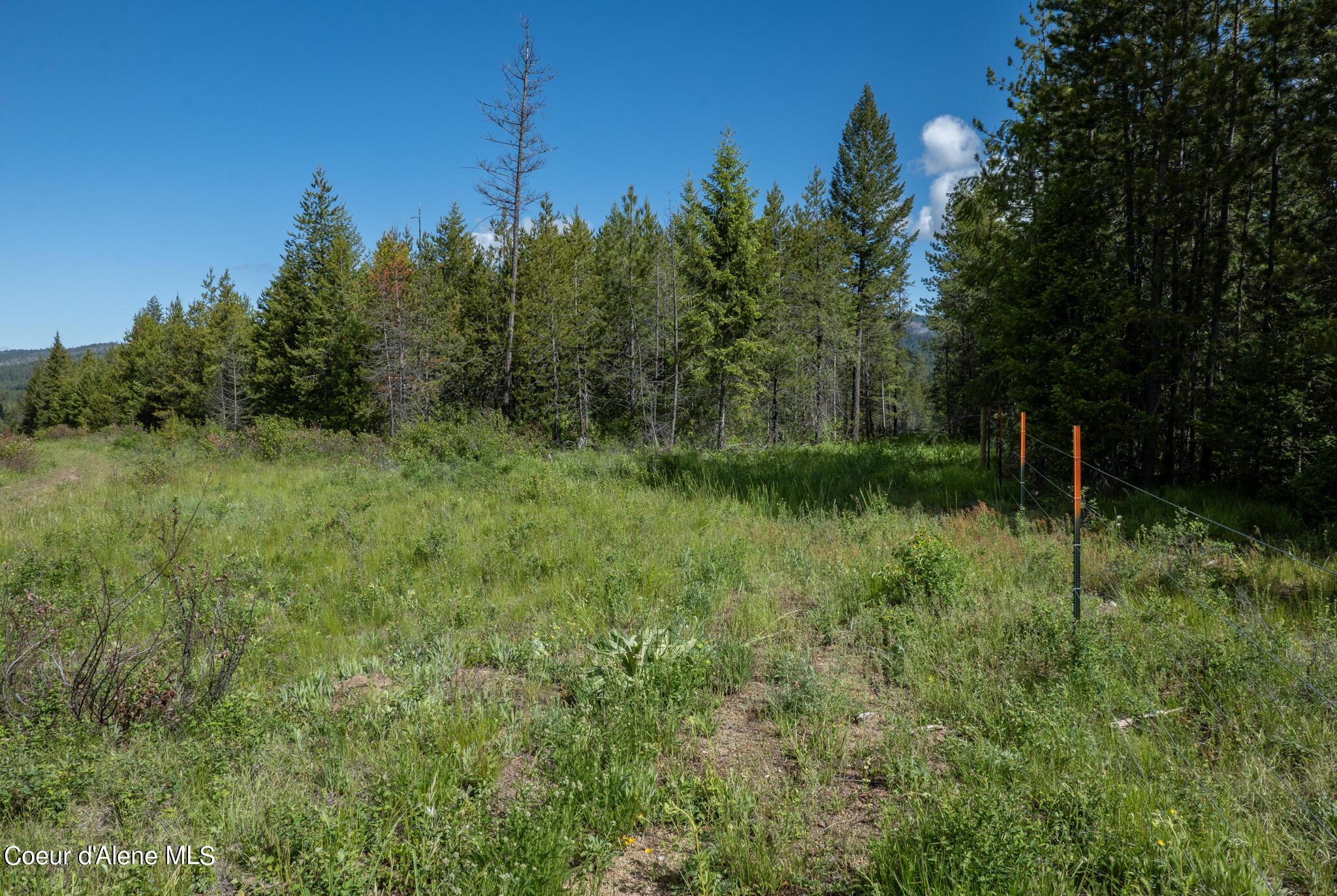 Lot 4 Flat Iron, Spirit Lake, Idaho image 38