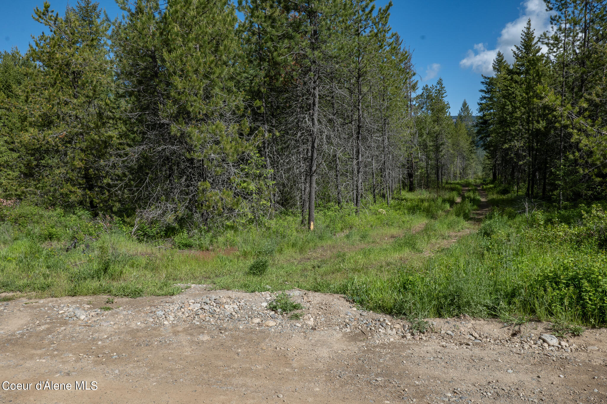 Lot 4 Flat Iron, Spirit Lake, Idaho image 30