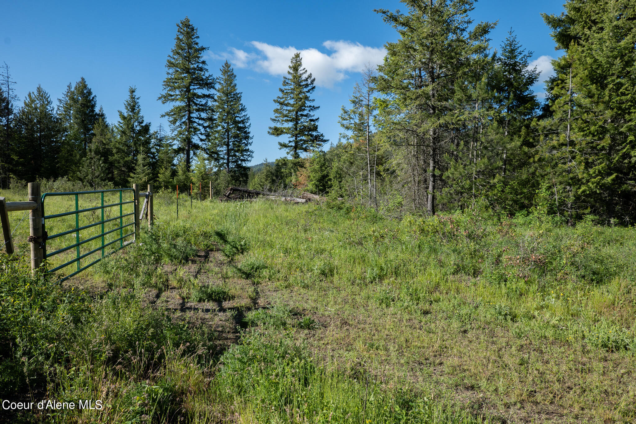 Lot 4 Flat Iron, Spirit Lake, Idaho image 43