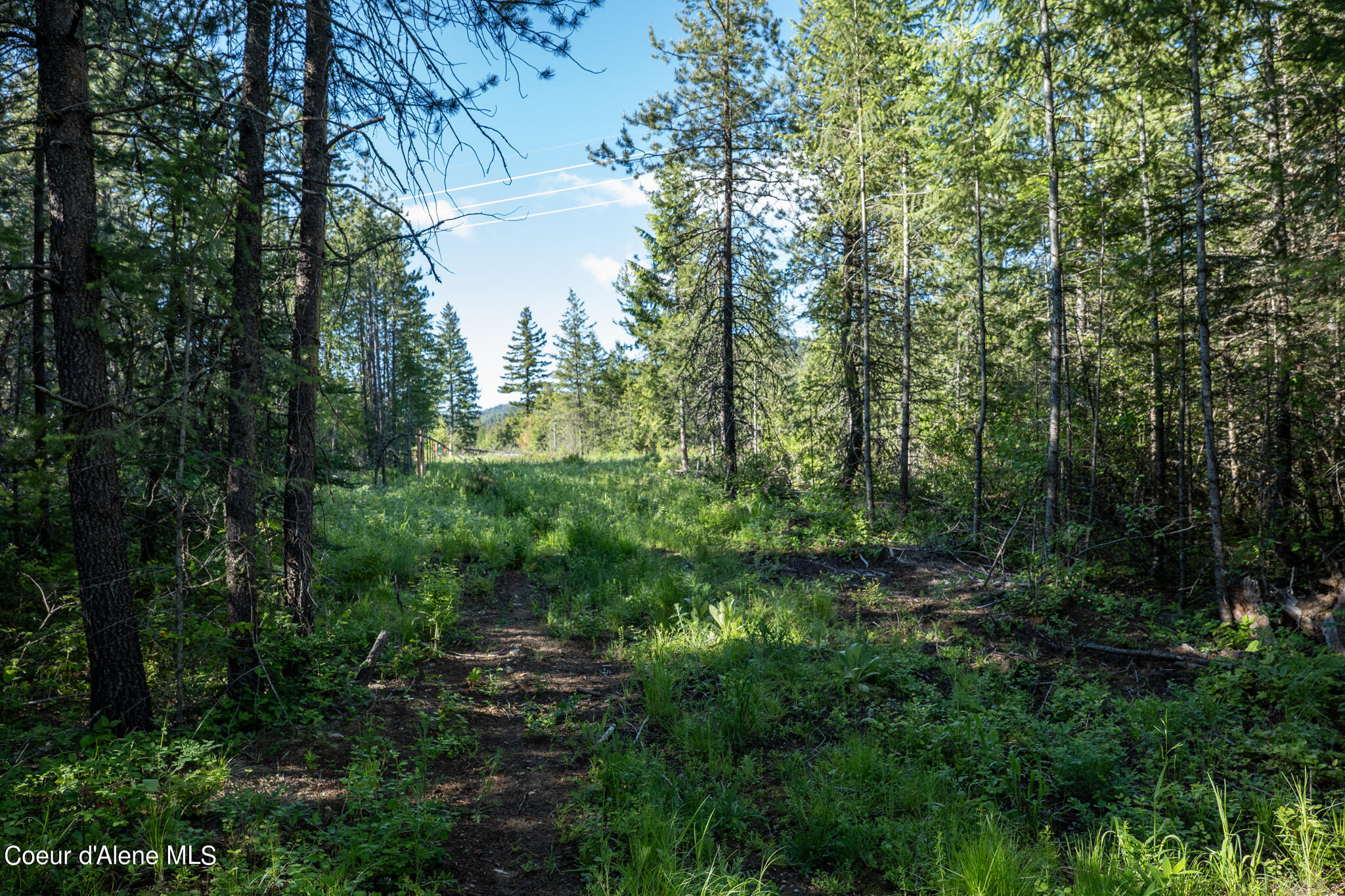 Lot 4 Flat Iron, Spirit Lake, Idaho image 37