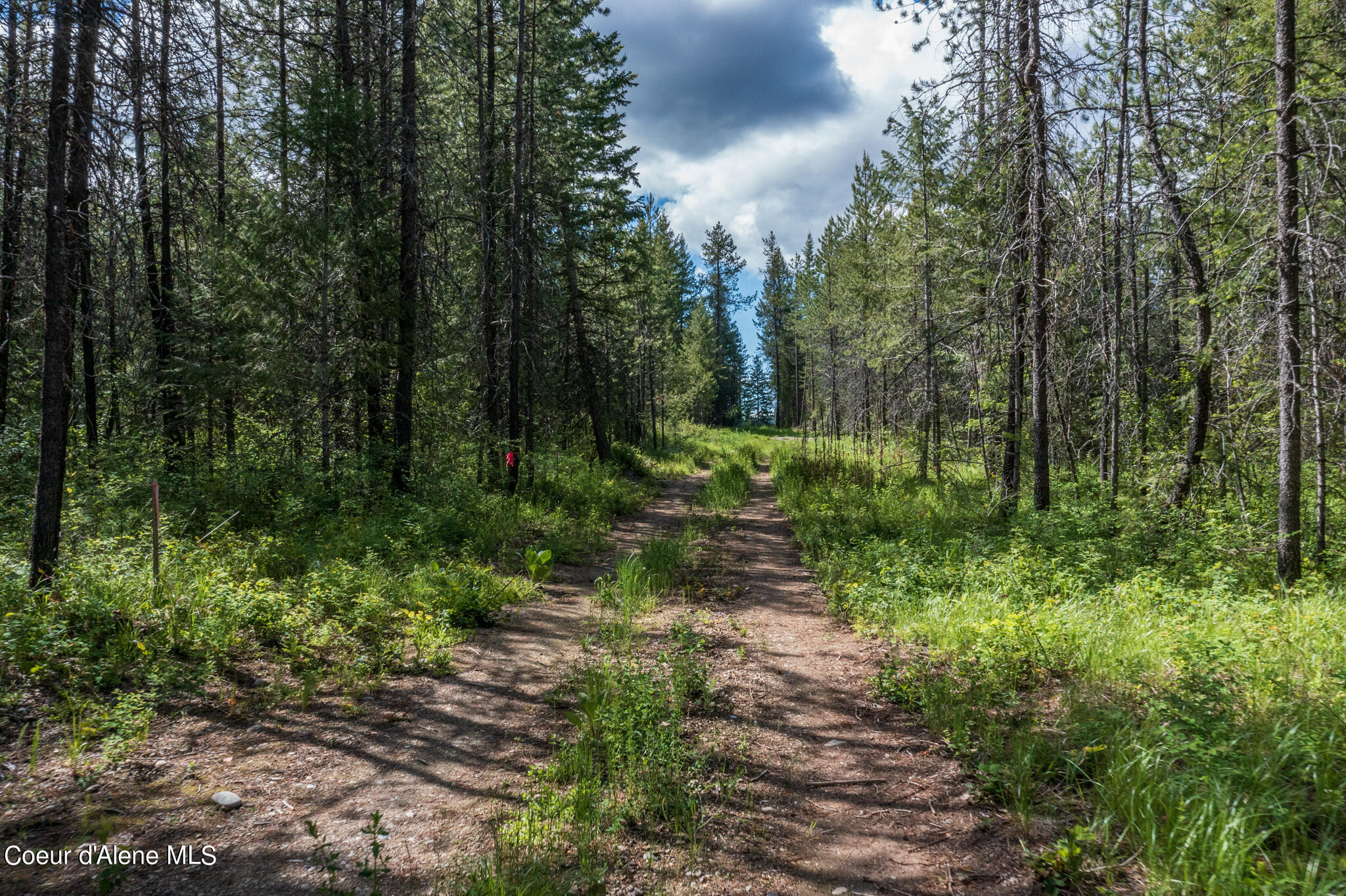 Lot 4 Flat Iron, Spirit Lake, Idaho image 31