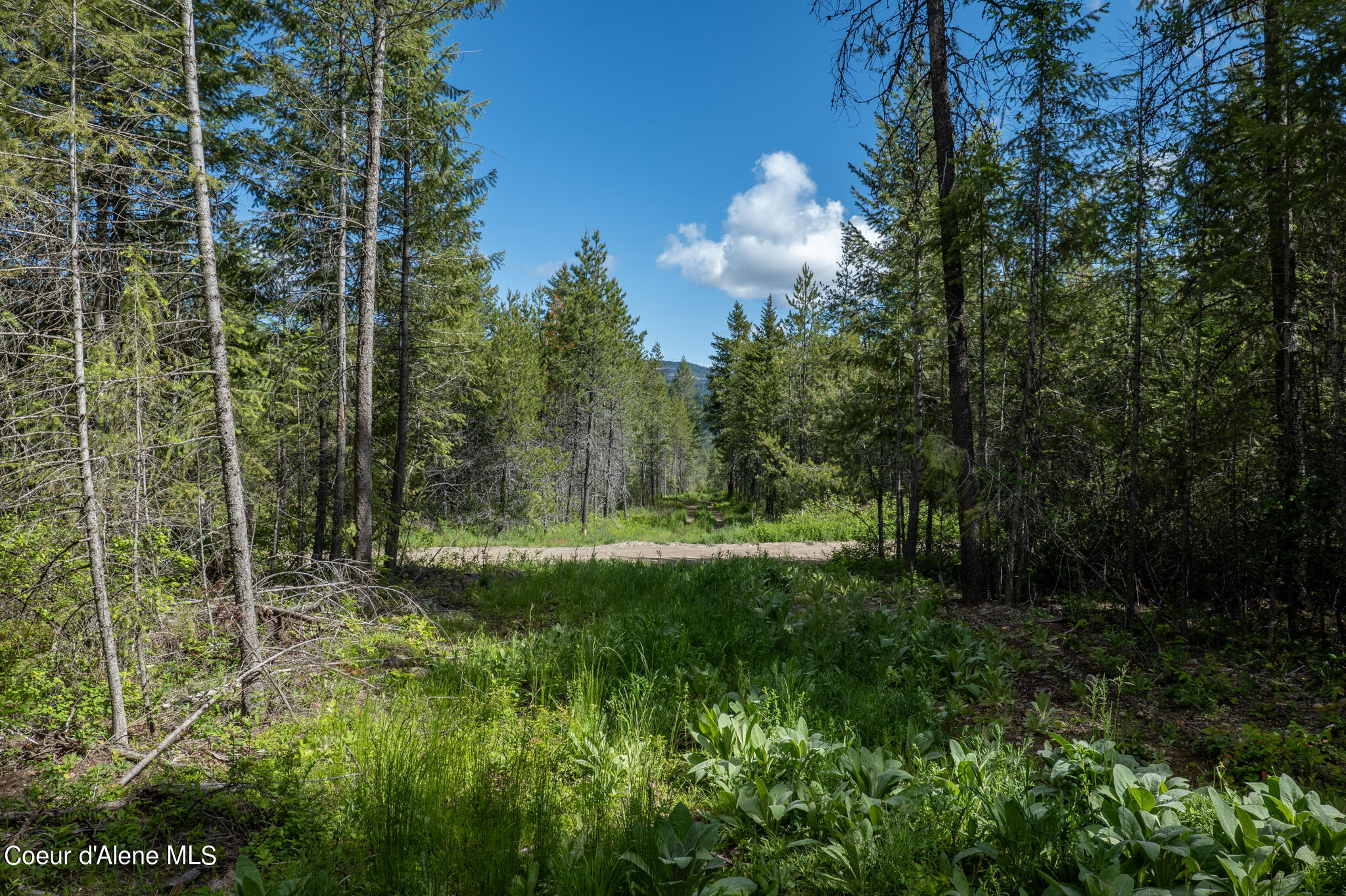 Lot 4 Flat Iron, Spirit Lake, Idaho image 41