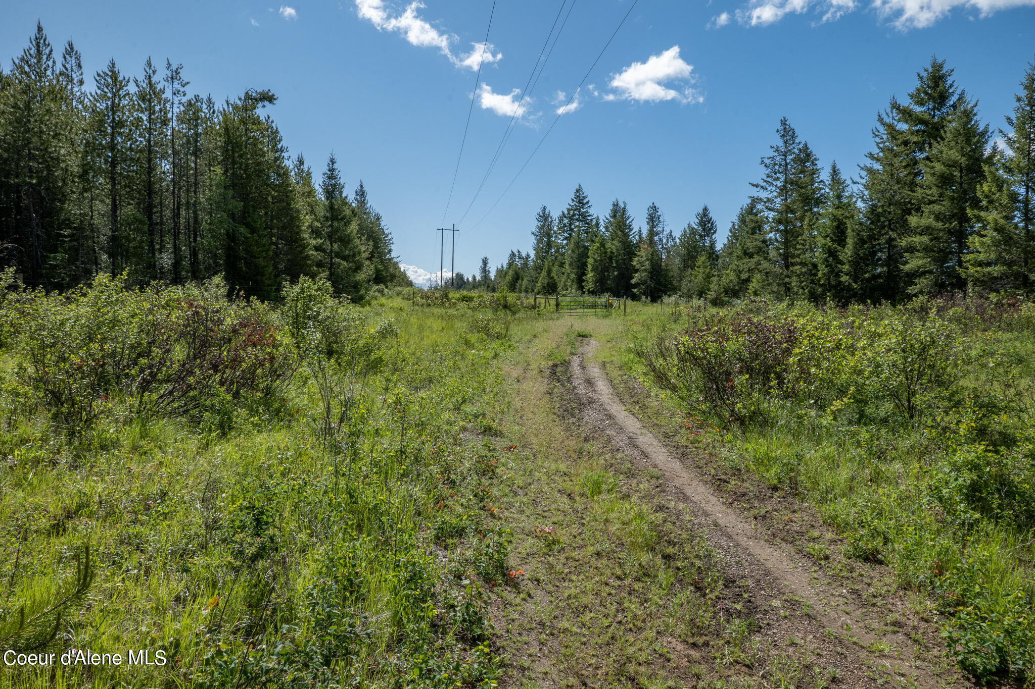 Lot 4 Flat Iron, Spirit Lake, Idaho image 42