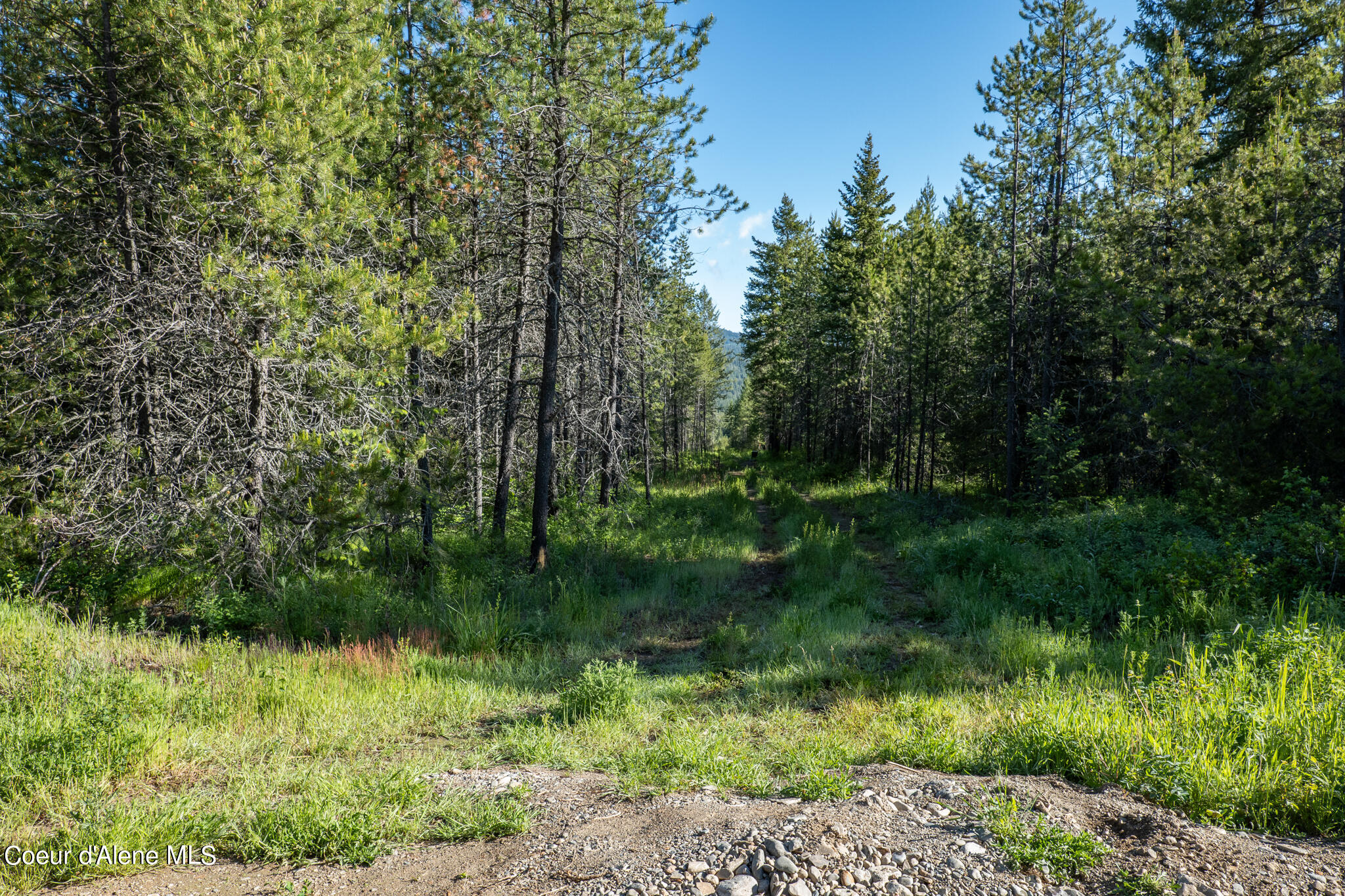 Lot 4 Flat Iron, Spirit Lake, Idaho image 11