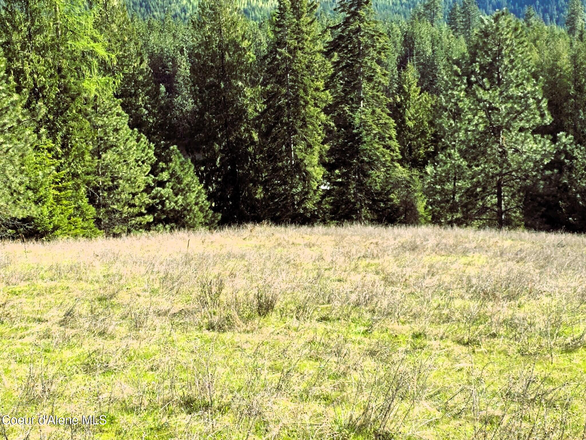NKA E Emerald Dr, Harrison, Alaska image 23
