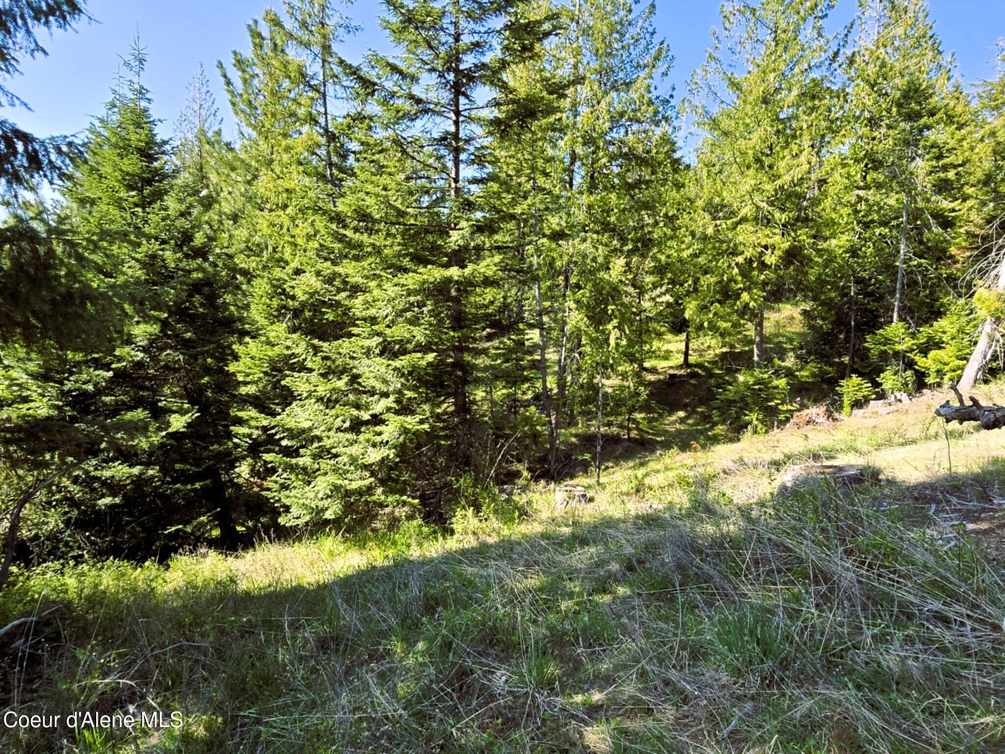 NKA E Emerald Dr, Harrison, Alaska image 14
