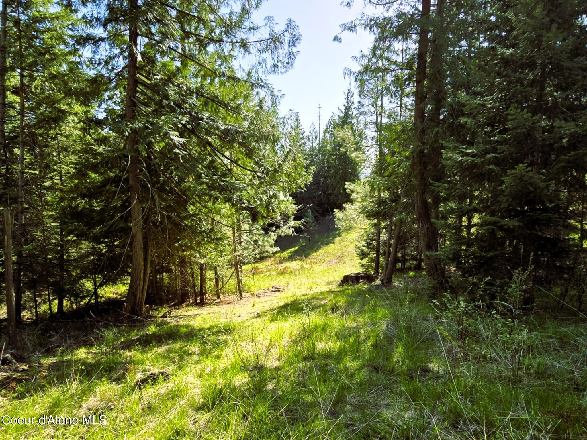 NKA E Emerald Dr, Harrison, Alaska image 13