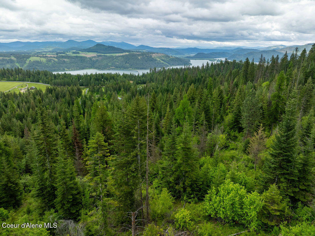 NNA Conkling Lt 16 1 Rd, Worley, Idaho image 29