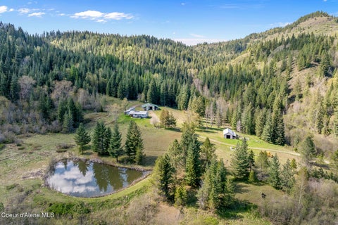 Homes For Sale - 1791 Pup Paw Trl #94.5 ACRES<br/> Priest River, ID 83856