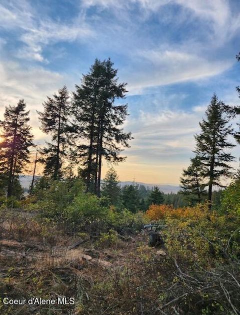 Vacant Land For Sale - 199 Bremerman Lane Lane<br/> Plummer, ID 83851