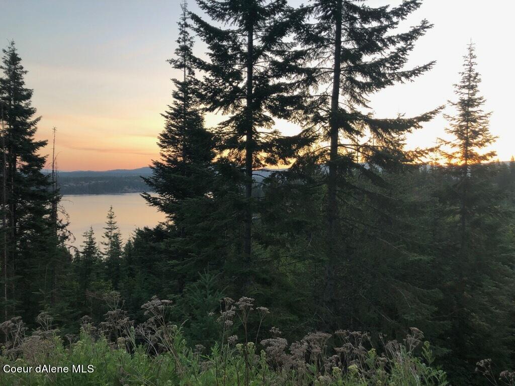 17648 SW Lookout Drive, Hayden, Idaho image 5